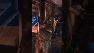 Dogmeat's Moment of Honor in Fallout 4