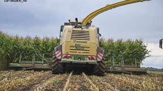 Maize Chopping 2023 ll John Deere 9900i + KRONE BiG X 1100 + 6 Tractors #johndeere #krone #viral