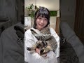 猫をたくさん飼っている人の脳内