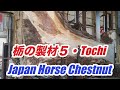 栃の製材5・Tochi・Japan Horse Chestnut