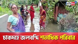 Chakdaha: Heavy rain lashes low area waterlogged in Nadia