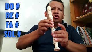 SHARP NOTES ON THE RECORD FLUTE