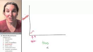 Biomechanics 4- Summation