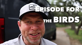 Van Life in Florida | We go birding...