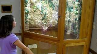 Darren Made A New Friend