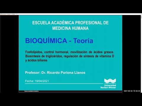 Vídeo: La Influencia Del Sexo Biológico Y Las Hormonas Sexuales En La Síntesis De ácidos Biliares Y La Homeostasis Del Colesterol