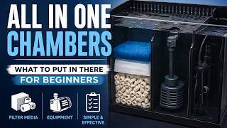 What to Put in Your AIO Filter Chambers (Beginner Reef Tank Setup)