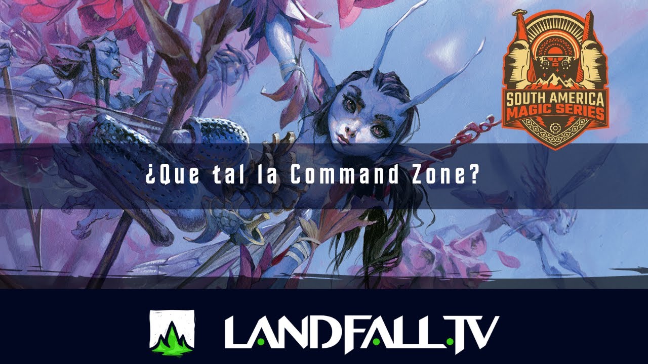 Los comandantes toman la palabra: Algunas opiniones sobre la Command ...