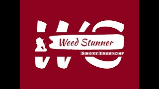 W E E D 𝔖𝔱𝔲𝔫𝔫𝔢𝔯 - Let The Weed Bun Feat. Davojah 