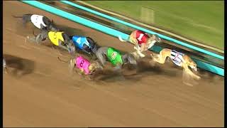 MEA SAT 04 AUG 18 R12