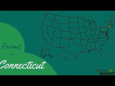 Farms in Connecticut || How to Find farms in Connecticut || Best Connecticut Farms in 2022