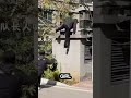 Karate Girl Escapes School Guards! 😱🥋#shorts