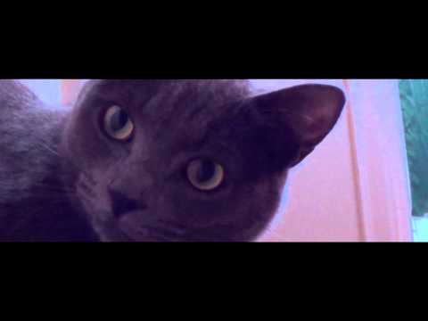 The Good, The Bad &amp; The Furry The Next Generation