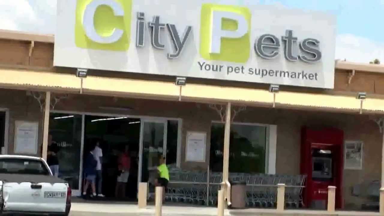 City Pets in Germiston Protest by Beauty Without Cruelty YouTube