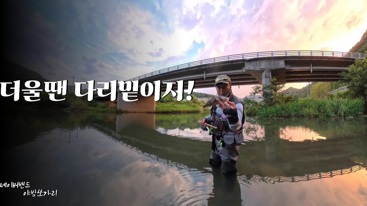 덥다더워...더울땐 다리밑으로!!