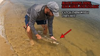 Dauphin Island Beach Fishing For 20 inch Plus Speckled Trout Using Slick Lures, and Live Bait