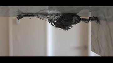 Symbiote - 3ds Max PhoenixFD (tutorial coming this week)