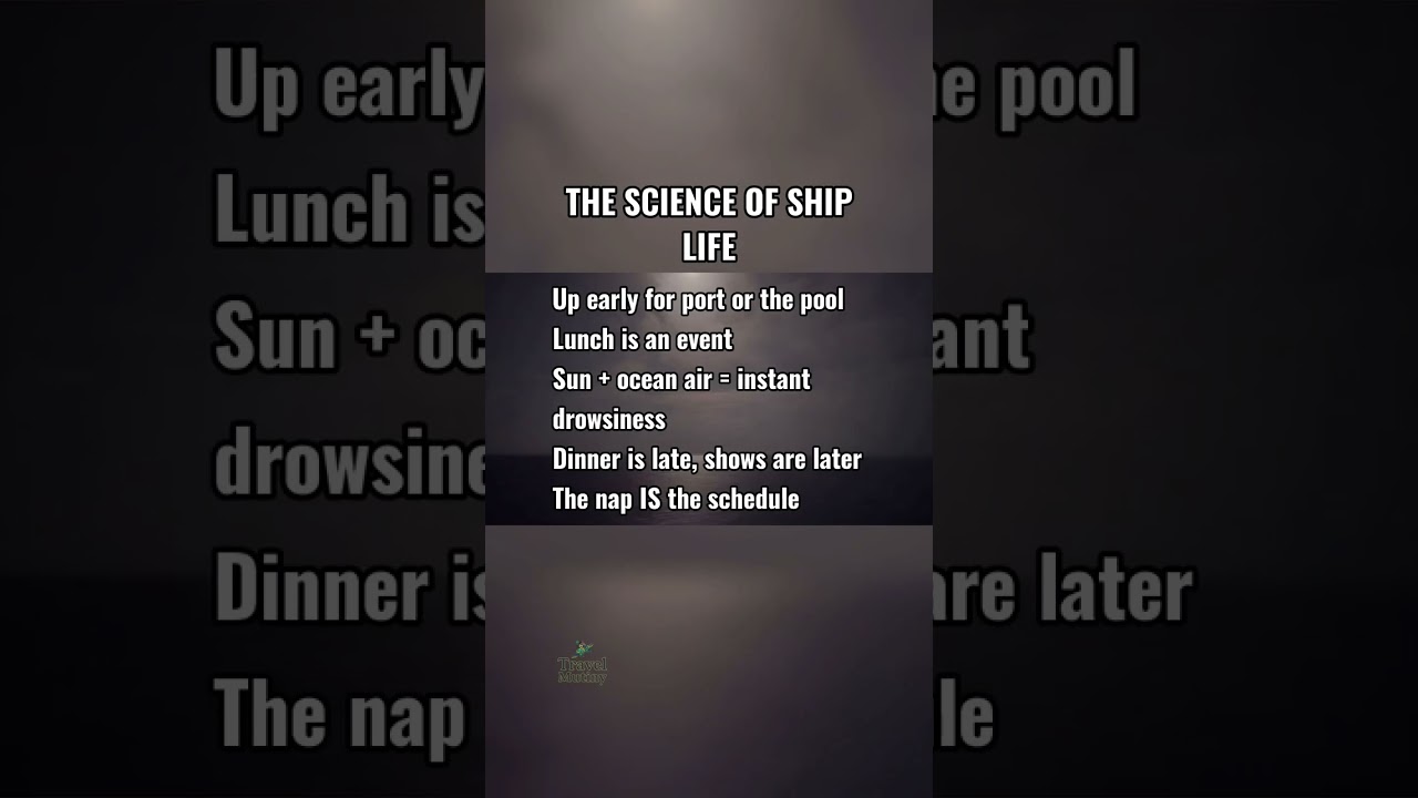 Why do cruisers nap at 2pm? Discover the science behind it! Comment TRACK for alerts.
