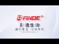 Promotional video of SZFINDE