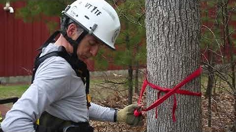 Wrap 3, Pull 2 Anchor: Rope Rescue, VTTF1 USAR