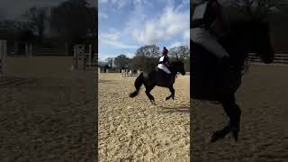 120222 Hank 3Rd 90Cm Eventer Trial Moreton Equestrian Centre