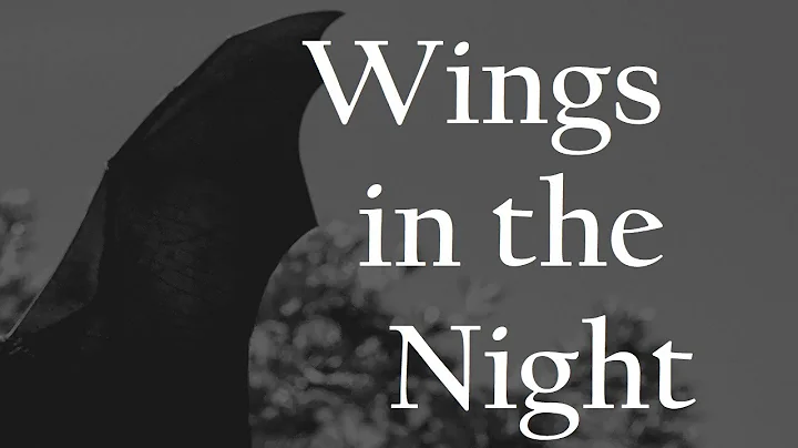 Solomon Kane  Wings in the Night, by Robert E. How...