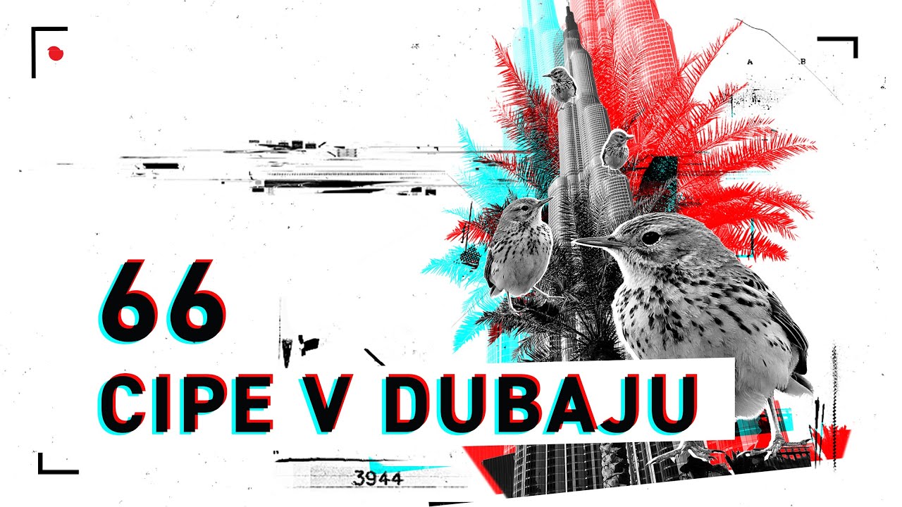 Fejmiči - #66 - Cipe v Dubaju