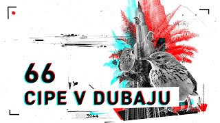 Fejmiči - #66 - Cipe v Dubaju