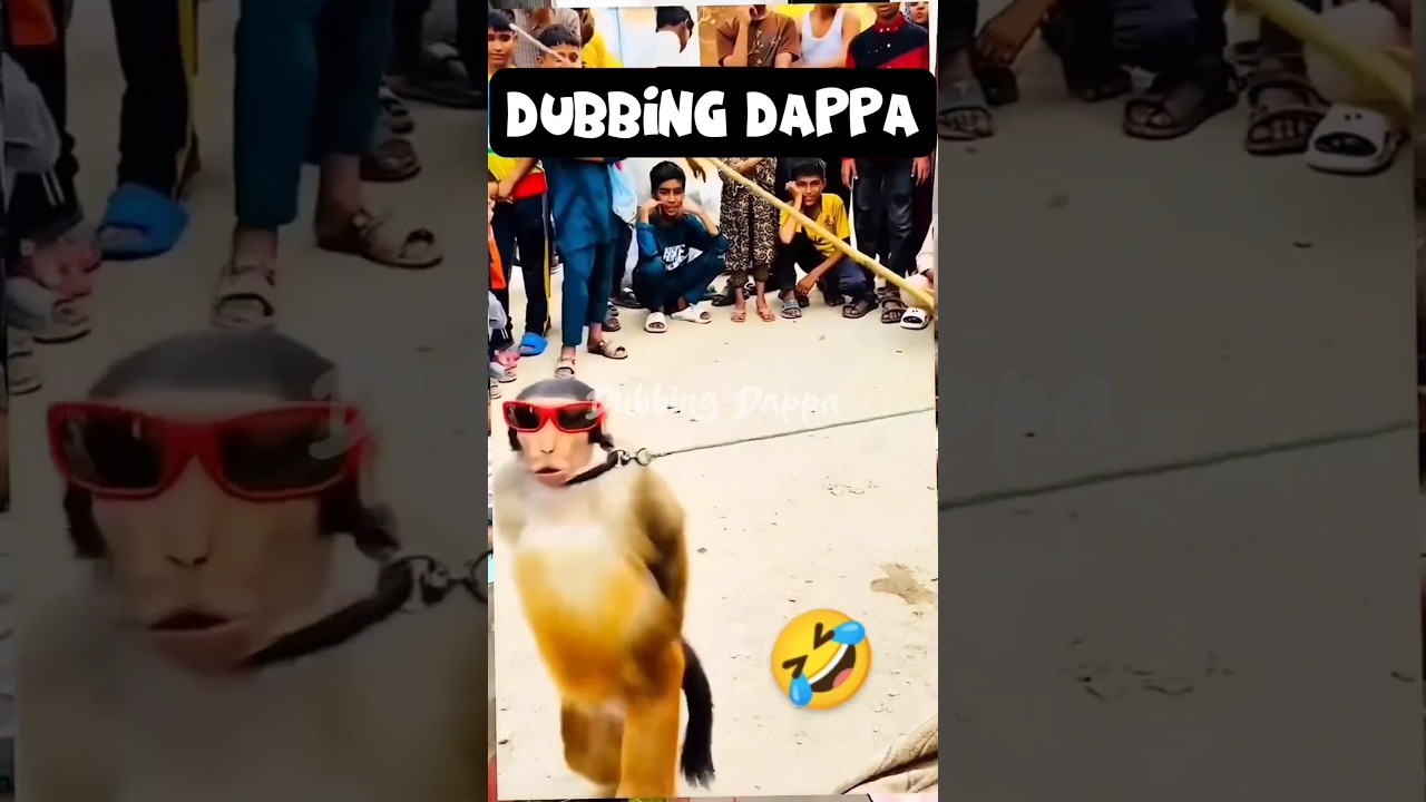 Thangarasu 🤣 || Dubbing Dappa 