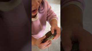 Turtle bit the kid 😨 #turtlepet #bitten #pet #shorts
