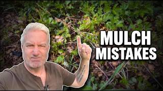 I Tested 7 Mulches — Here's What Actually Stops Weeds