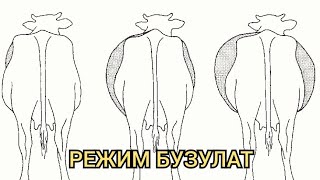 Буканын ичи көпсө эмне кылуу керек?