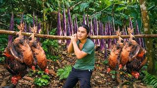 Skills in setting traps to catch wild chickens, harvest bamboo shoots | Trieu Thanh Survival