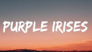 Gwen Stefani U0026 Blake Shelton  Purple Irises s