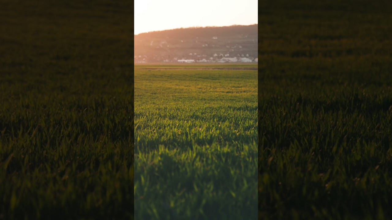 Your One moment Escape from Work Stress 