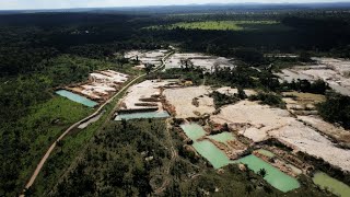 Déforestation en Amazonie : La Norvège bloque 30 millions d'euros de subventions au Brésil