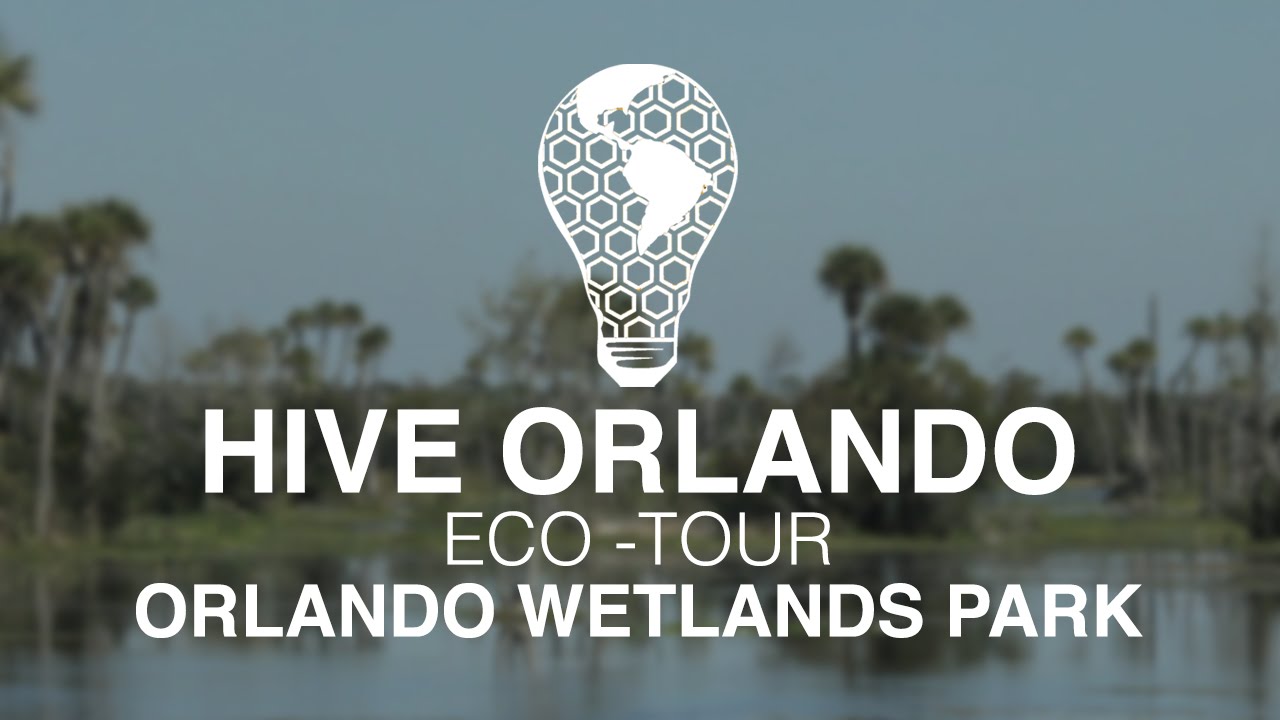 EcoTour Orlando Wetlands Park YouTube