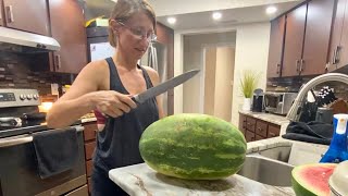 Watermelon Growing Mistakes! Breaking All The Rules