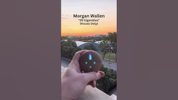 Thumbnail of Morgan Wallen - 20 Cigarettes (Vocals Only)