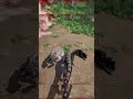 1v1… only one walks away