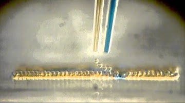 Making Tissues from Water Droplets?