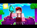 HO FARMATO 100 PEZZI DI LEGNA PREZIOSA!! - VITA IN CITTÀ 2 MINECRAFT EP.20