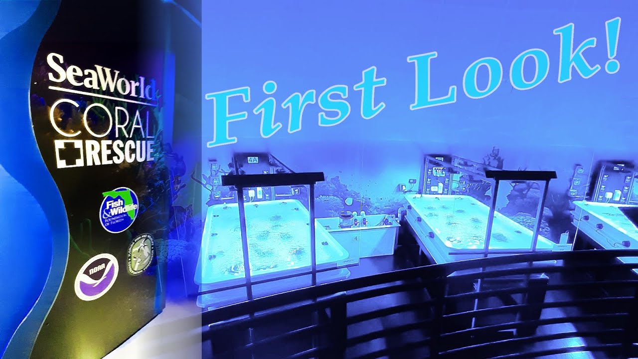 Coral Rescue Center - Pass Member First Look