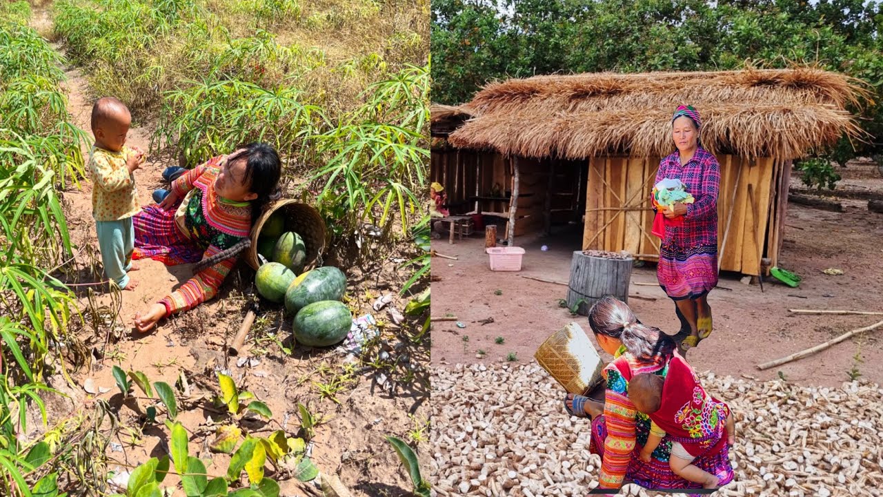 A 16-year-old single mother had to harvest melons to sell when she had a cruel mother-in-law