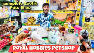 Royal Hobbies Petshop Banglore , Iguana , Rabbits, Hedgehog , Tortoise ,Birds ,Cats ,Pigeons & More