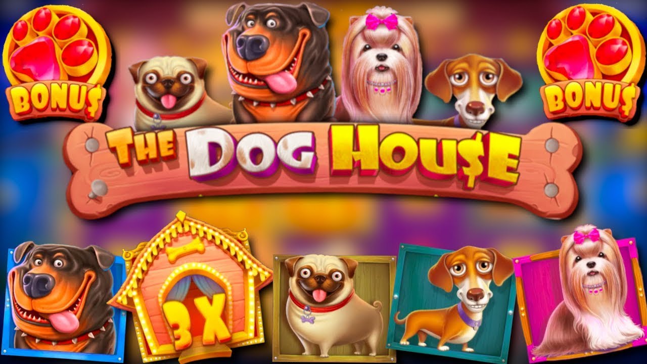 Дог хаус демо dogedraws com. Дог Хаус слот. Собачки слот. Собачки казино. Dog House слот будка.