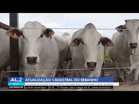 Você já atualizou seu rebanho? Campanha 2025 começa hoje - 30/10/2025