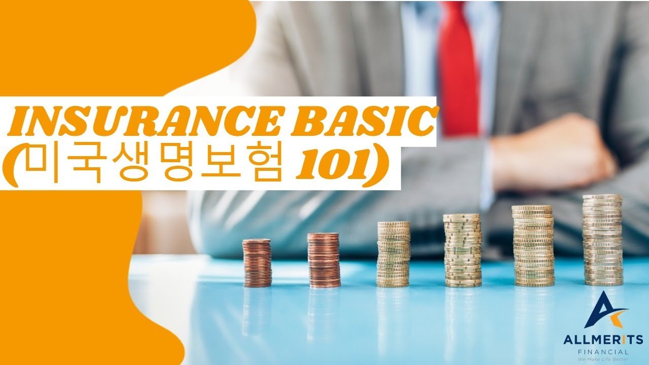 미국 생명보험 101 (Insurance Basic)