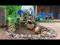 Unique Family Way of Transporting Rocks, for Making Aquariums | Family farm