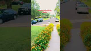#nature #relax Beautiful Arlington Home Exterior | Calm Suburban Life